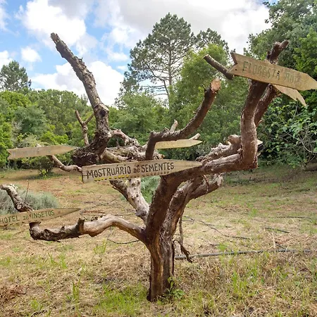 Quinta Do Castelo - Casa De Madeira Εξοχικό σπίτι Reguengo Grande