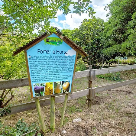 Casa de Campo Quinta Do Castelo - Casa De Madeira *
