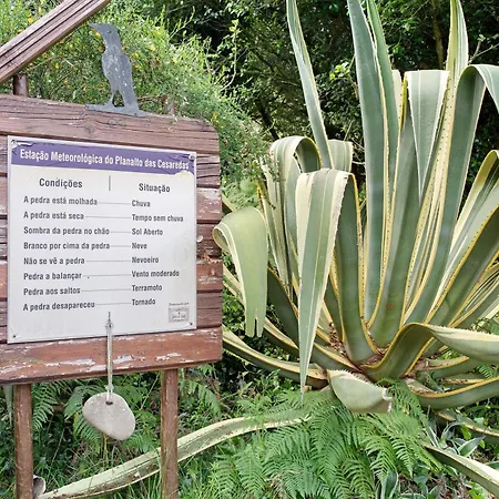 Casa de Campo Quinta Do Castelo - Casa De Madeira