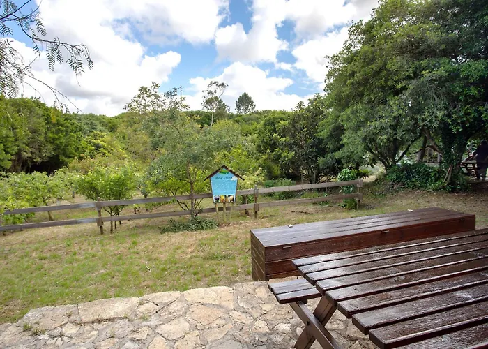 Quinta Do Castelo - Casa De Madeira *