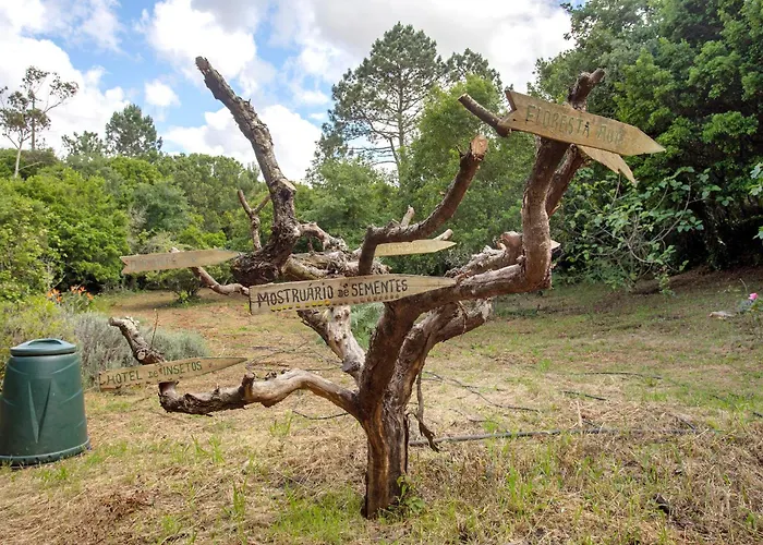 Quinta Do Castelo - Casa De Madeira Casa de Campo Reguengo Grande