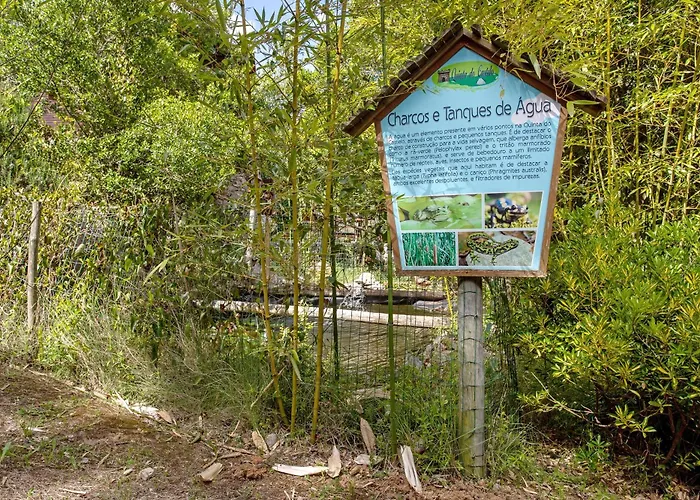 Quinta Do Castelo - Casa De Madeira *