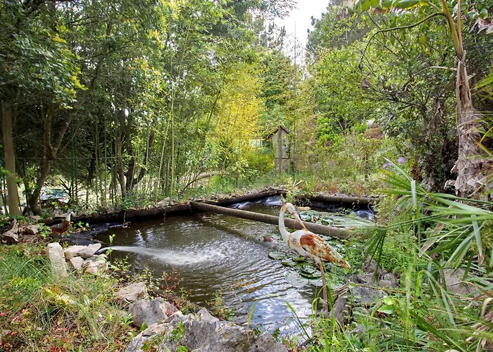 Casa de Campo Quinta Do Castelo - Casa De Madeira *