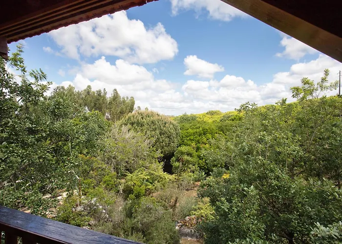 Quinta Do Castelo - Casa De Madeira Reguengo Grande